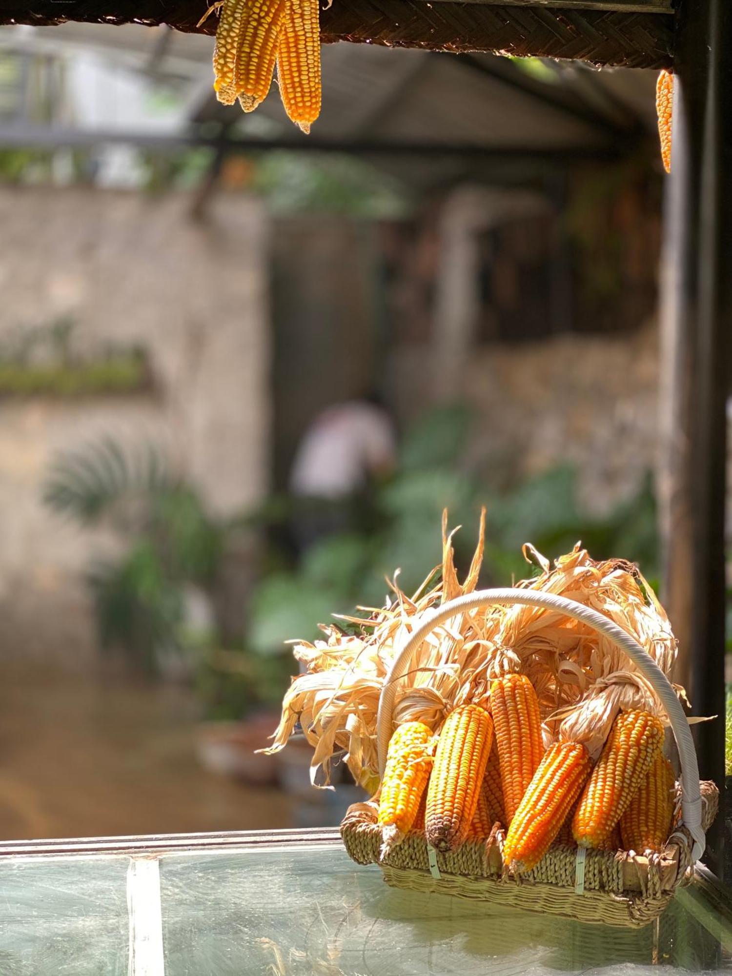 Le Petit Home Dong Van (Ha Giang) Exterior foto