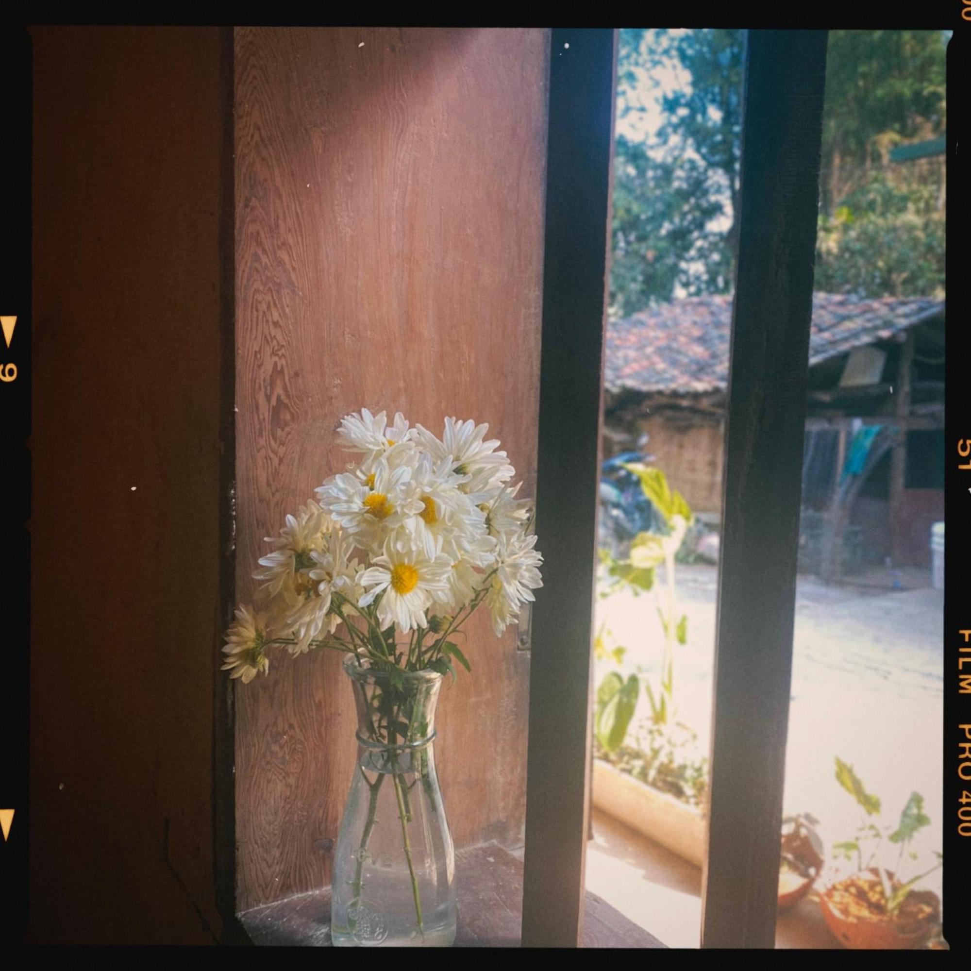 Le Petit Home Dong Van (Ha Giang) Exterior foto